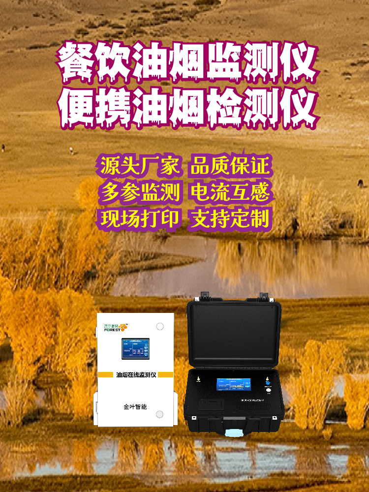 金叶仪器油烟智能在线监测系统：如何服务餐饮油烟治理？